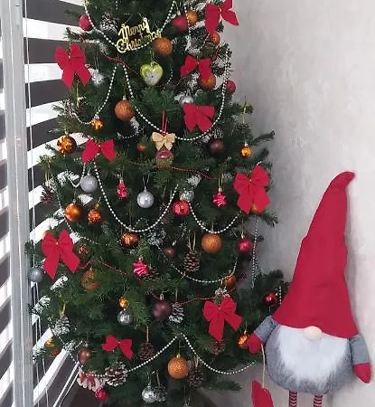 Apartment Velvita Sliven