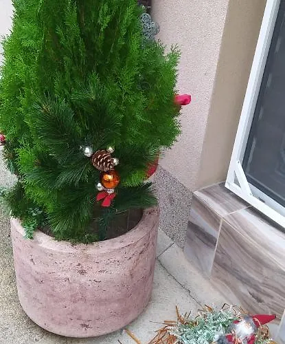 アパート Velvita